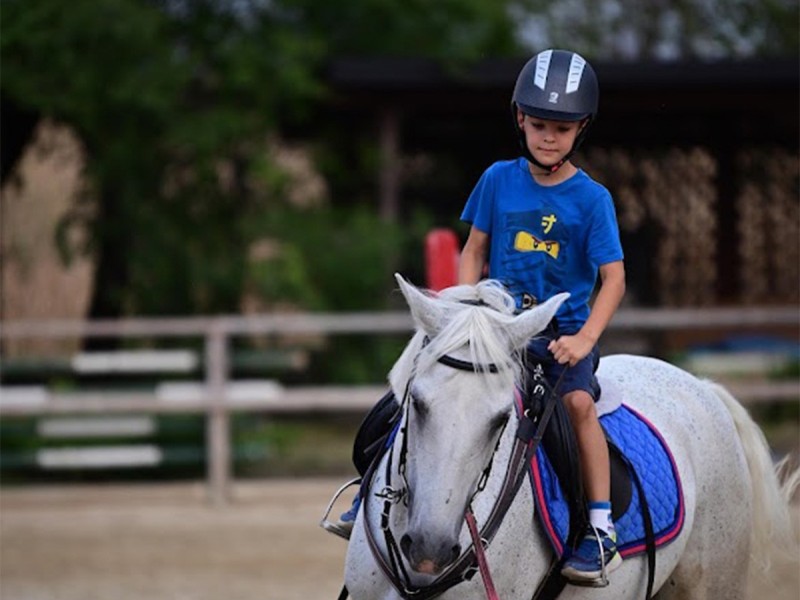 First steps in the equestrian world: Initiation lesson for children and adults in Iasi