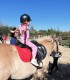 First steps in the equestrian world: Initiation lesson for children and adults in Iasi