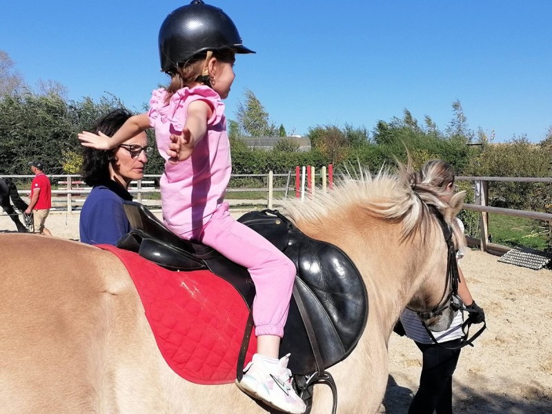 First steps in the equestrian world: Initiation lesson for children and adults in Iasi
