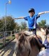 First steps in the equestrian world: Initiation lesson for children and adults in Iasi