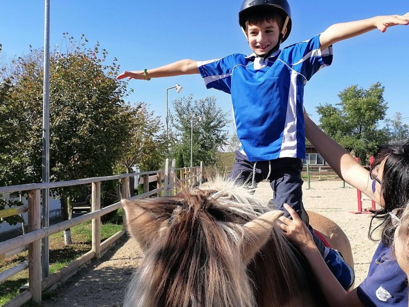 First steps in the equestrian world: Initiation lesson for children and adults in Iasi