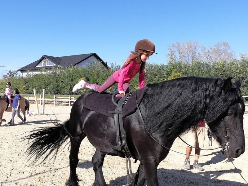 First steps in the equestrian world: Initiation lesson for children and adults in Iasi