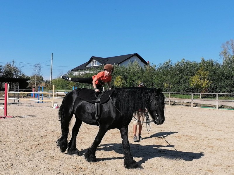 First steps in the equestrian world: Initiation lesson for children and adults in Iasi