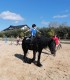First steps in the equestrian world: Initiation lesson for children and adults in Iasi
