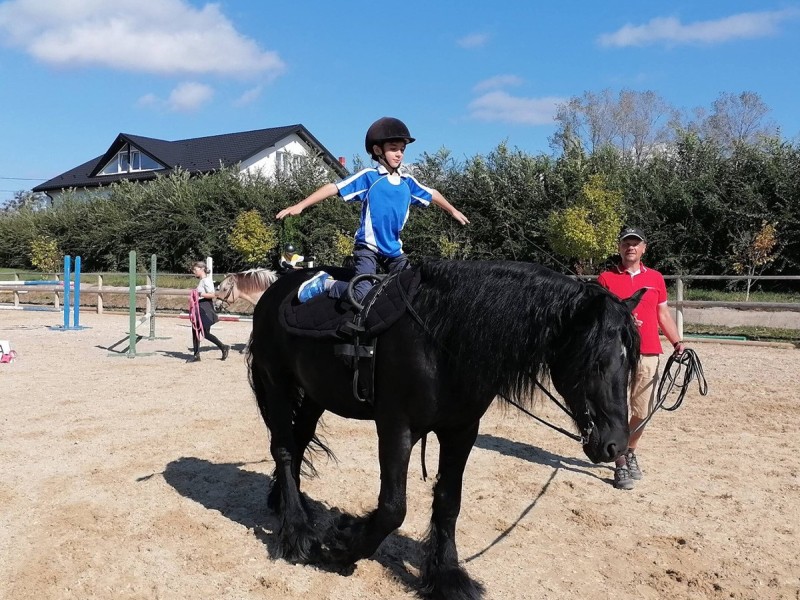 First steps in the equestrian world: Initiation lesson for children and adults in Iasi