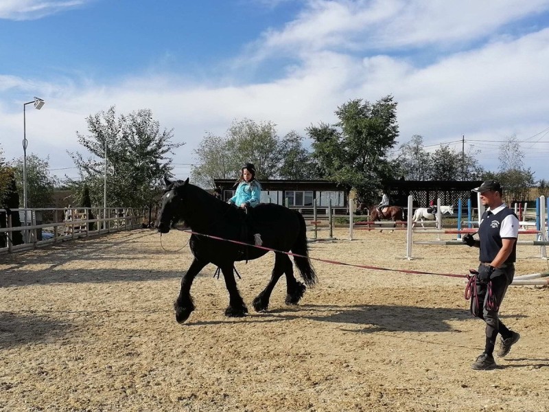 First steps in the equestrian world: Initiation lesson for children and adults in Iasi