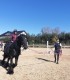 First steps in the equestrian world: Initiation lesson for children and adults in Iasi