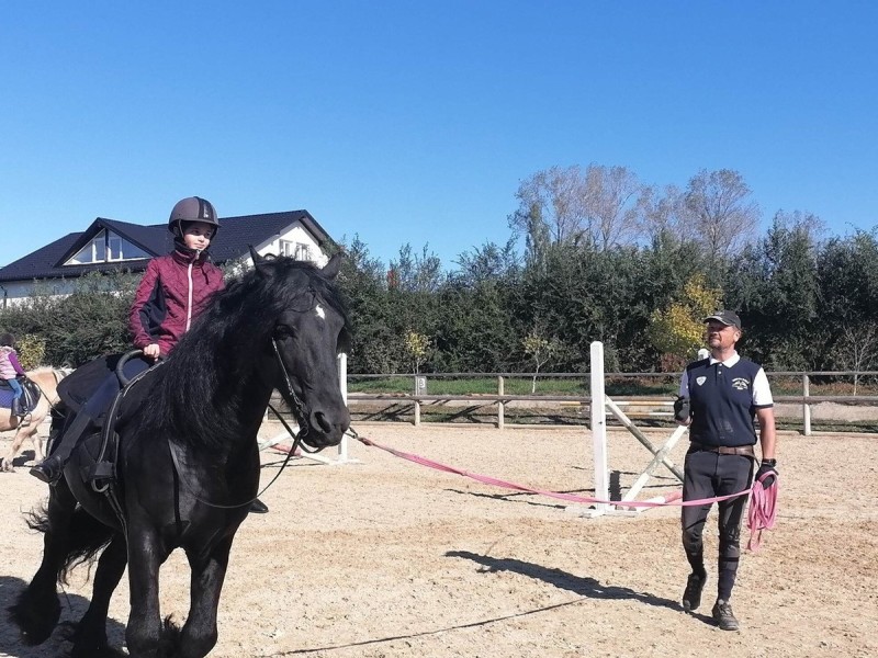 First steps in the equestrian world: Initiation lesson for children and adults in Iasi