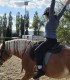 First steps in the equestrian world: Initiation lesson for children and adults in Iasi
