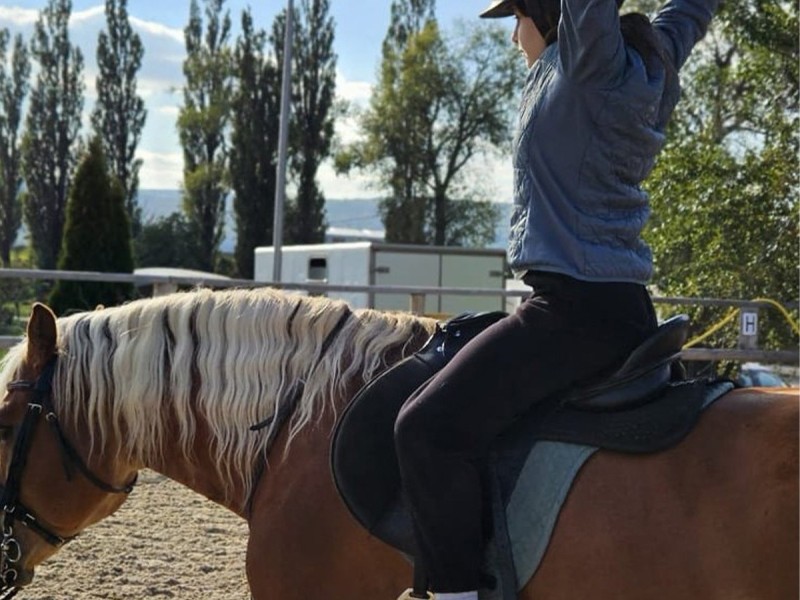 First steps in the equestrian world: Initiation lesson for children and adults in Iasi