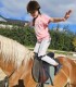First steps in the equestrian world: Initiation lesson for children and adults in Iasi