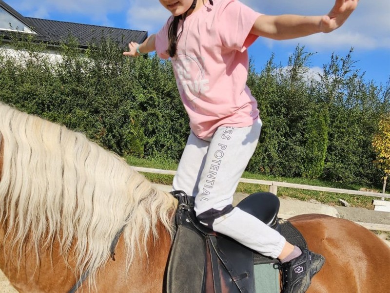 First steps in the equestrian world: Initiation lesson for children and adults in Iasi