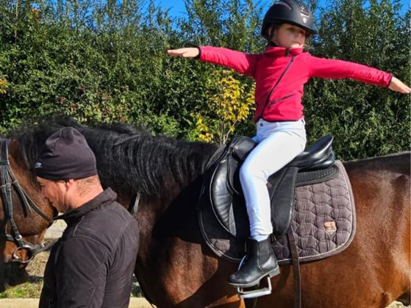 First steps in the equestrian world: Initiation lesson for children and adults in Iasi
