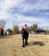 First steps in the equestrian world: Initiation lesson for children and adults in Iasi