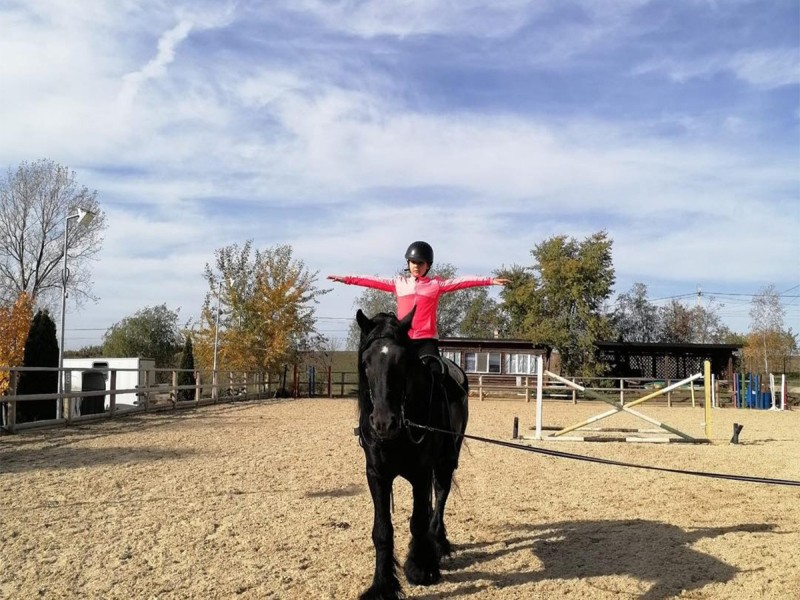 First steps in the equestrian world: Initiation lesson for children and adults in Iasi