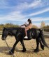 First steps in the equestrian world: Initiation lesson for children and adults in Iasi