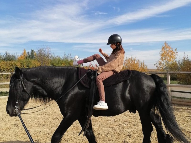 First steps in the equestrian world: Initiation lesson for children and adults in Iasi
