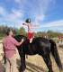 First steps in the equestrian world: Initiation lesson for children and adults in Iasi
