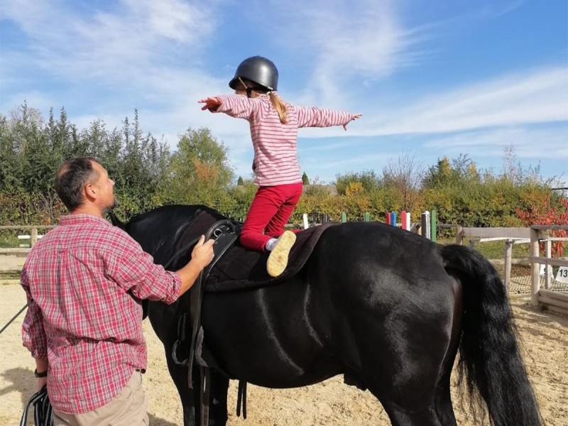 First steps in the equestrian world: Initiation lesson for children and adults in Iasi