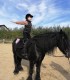 First steps in the equestrian world: Initiation lesson for children and adults in Iasi