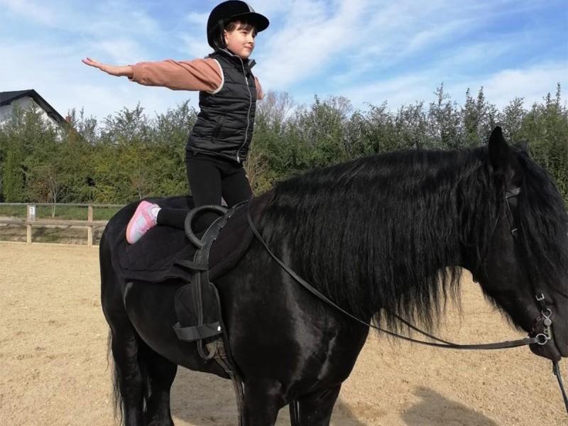 First steps in the equestrian world: Initiation lesson for children and adults in Iasi