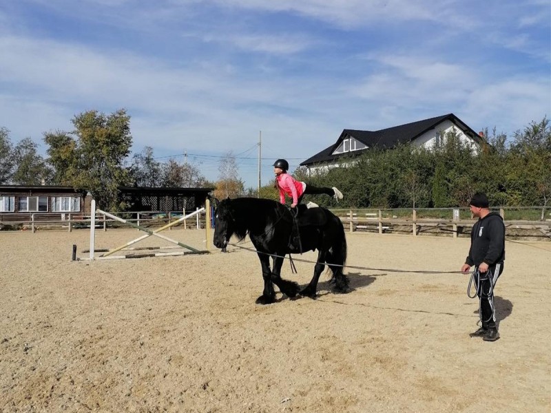 First steps in the equestrian world: Initiation lesson for children and adults in Iasi