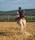First steps in the equestrian world: Initiation lesson for children and adults in Iasi
