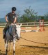 First steps in the equestrian world: Initiation lesson for children and adults in Iasi