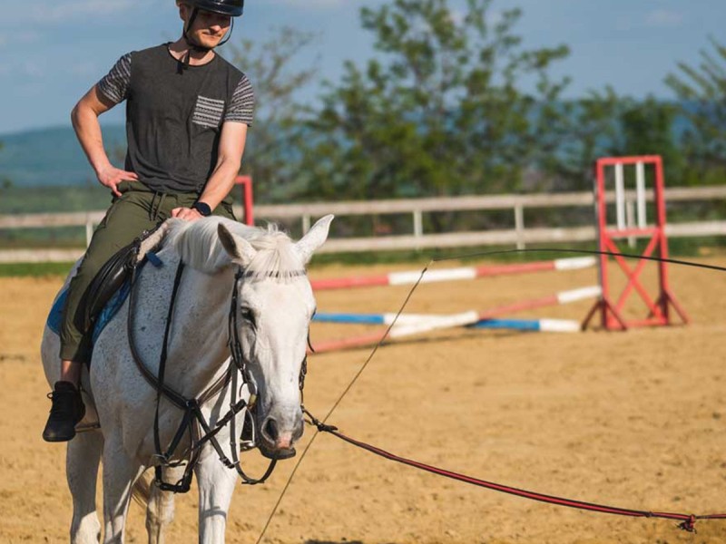 First steps in the equestrian world: Initiation lesson for children and adults in Iasi