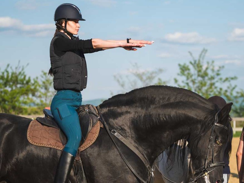 First steps in the equestrian world: Initiation lesson for children and adults in Iasi