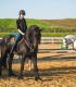 First steps in the equestrian world: Initiation lesson for children and adults in Iasi