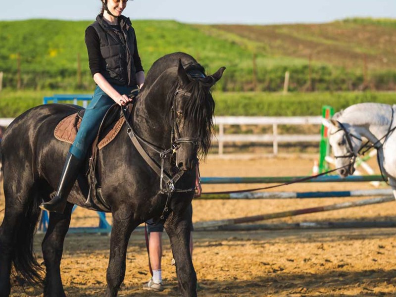 First steps in the equestrian world: Initiation lesson for children and adults in Iasi