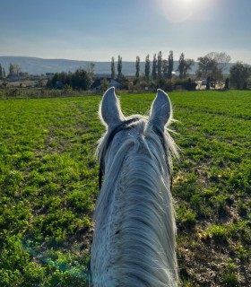 Nature adventure for kids - Horseback riding in Iasi