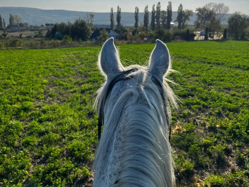 Nature adventure for kids - Horseback riding in Iasi