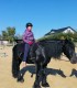 Nature adventure for kids - Horseback riding in Iasi