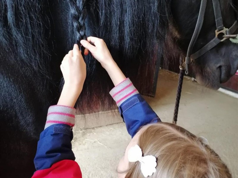 Nature adventure for kids - Horseback riding in Iasi