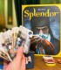 Board Games evening with friends, in Bucharest