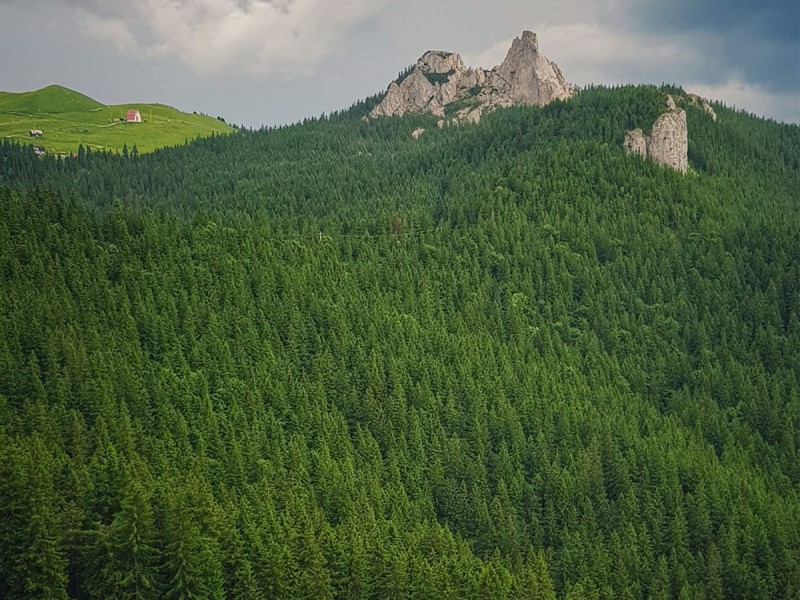 Vacanta de 3 nopti la Glamping in Bucovina, cu Mega Tiroliana, Rafting sau Caiac, Tir cu arma si Drumetie