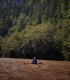 Vacanta de 3 nopti la Glamping in Bucovina, cu Mega Tiroliana, Rafting sau Caiac, Tir cu arma si Drumetie