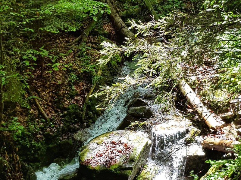 Vacanta de 3 nopti la Glamping in Bucovina, cu Mega Tiroliana, Rafting sau Caiac, Tir cu arma si Drumetie