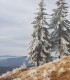 Vacanta de 3 nopti la Glamping in Bucovina, cu Mega Tiroliana, Rafting sau Caiac, Tir cu arma si Drumetie