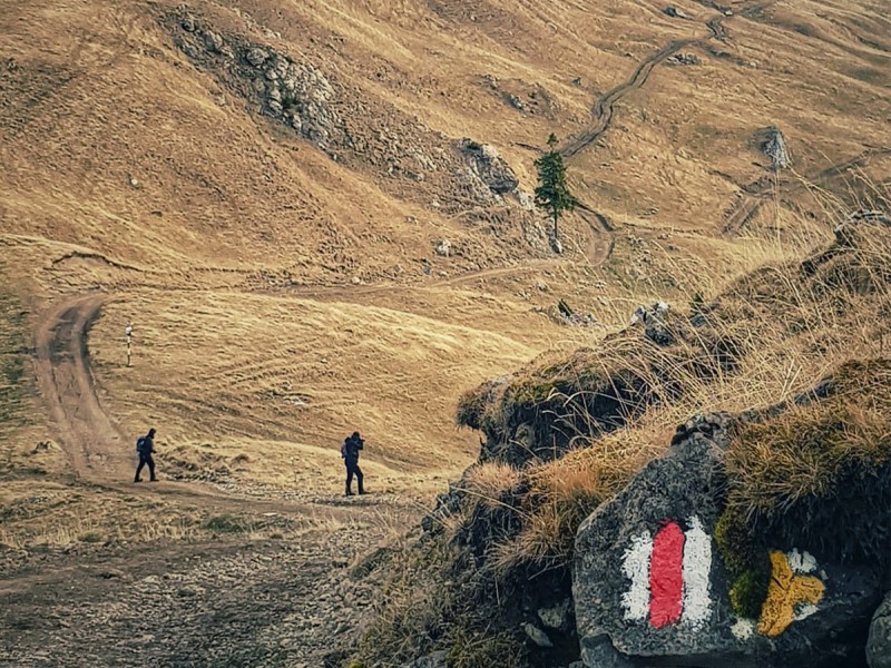 Vacanta de 3 nopti la Glamping in Bucovina, cu Mega Tiroliana, Rafting sau Caiac, Tir cu arma si Drumetie