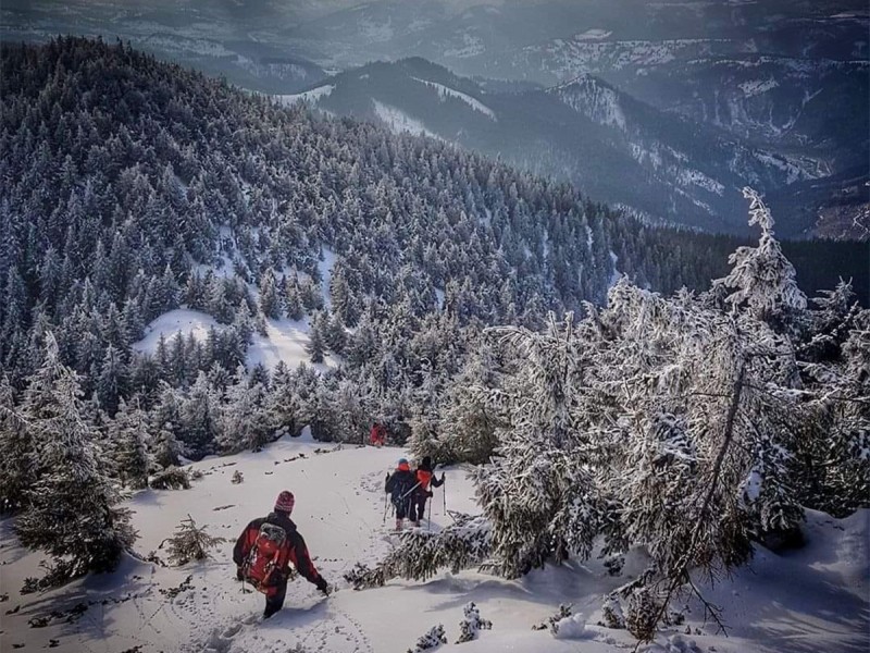 Vacanta de 3 nopti la Glamping in Bucovina, cu Mega Tiroliana, Rafting sau Caiac, Tir cu arma si Drumetie
