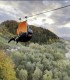 Mega Tiroliana Bucovina - Aventura pe cea mai mare tiroliana din Romania
