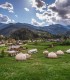Vacanta de 3 nopti la Glamping in Bucovina, cu Mega Tiroliana, Rafting sau Caiac, Tir cu arma si Drumetie