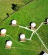 Vacanta de 3 nopti la Glamping in Bucovina, cu Mega Tiroliana, Rafting sau Caiac, Tir cu arma si Drumetie