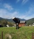 Vacanta de 3 nopti la Glamping in Bucovina, cu Mega Tiroliana, Rafting sau Caiac, Tir cu arma si Drumetie