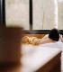 Oaza de relaxare - Rasfat la SPA si pranz in Sibiu