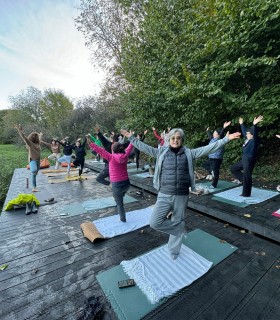 One day retreat in Sibiu - yoga, forest bathing and creative workshop