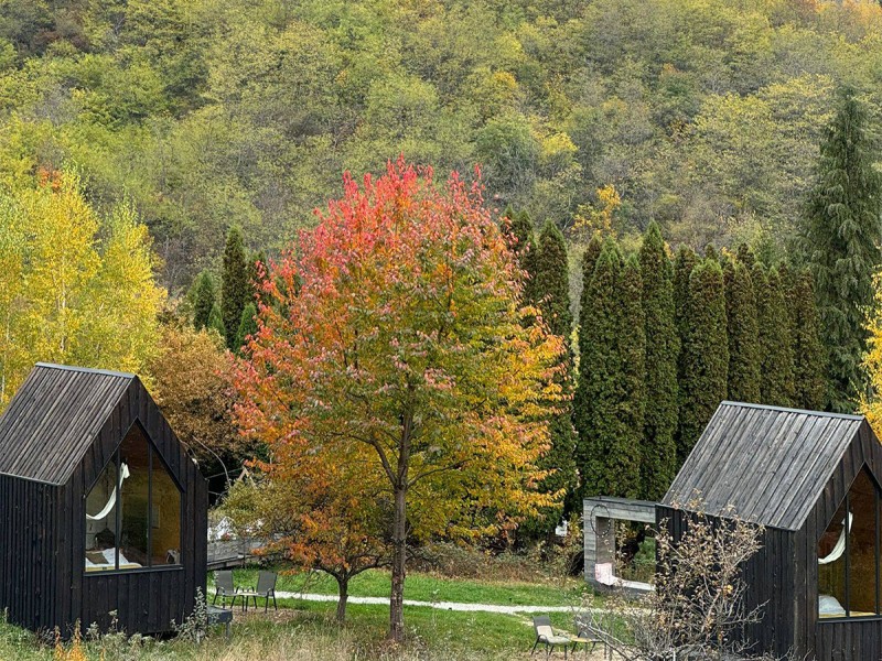 Refugiu de vis - vacanta in bungalow cu SPA inclus, in Sibiu